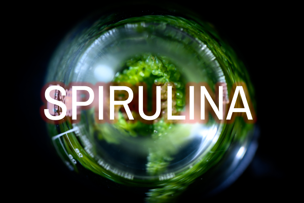 LebeFrischa Spirulina kaufen ohne Zusätze mit einem hohen Nährstoffgehalt
