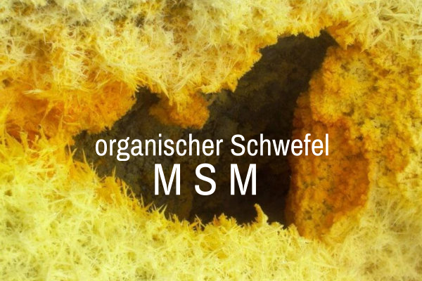 LebeFrischa MSM kaufen organische Schwefelverbindung aus DMSO