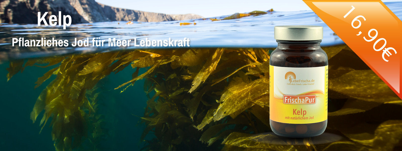 LebeFrischa pflanzliches Jod aus Kelp kaufen für mehr Lebenskraft