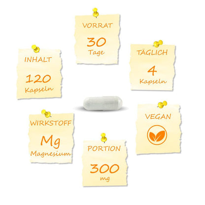 Wenn du täglich 4 Kapseln einnimmst, profitierst du 30 Tage lang von 300mg elementarem Magnesium