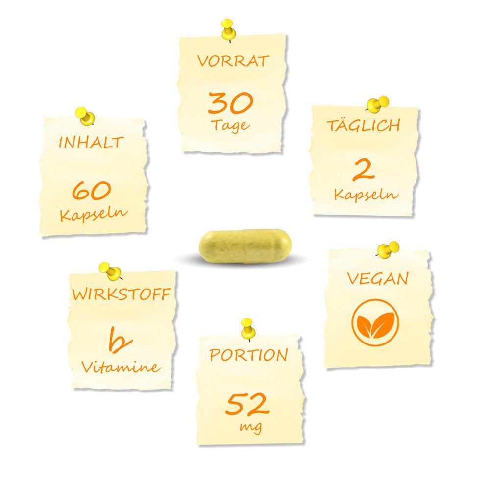 Wenn du täglich 2 Kapseln einnimmst, profitierst du 30 Tage lang von 52mg B-Vitaminen