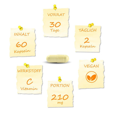 Wenn du täglich 2 Kapseln einnimmst, profitierst du 30 Tage lang von 210mg Vitamin C