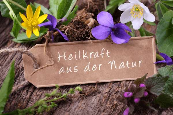Bitterstoffe – die natürliche Vielfalt der Kräuter entdecken
