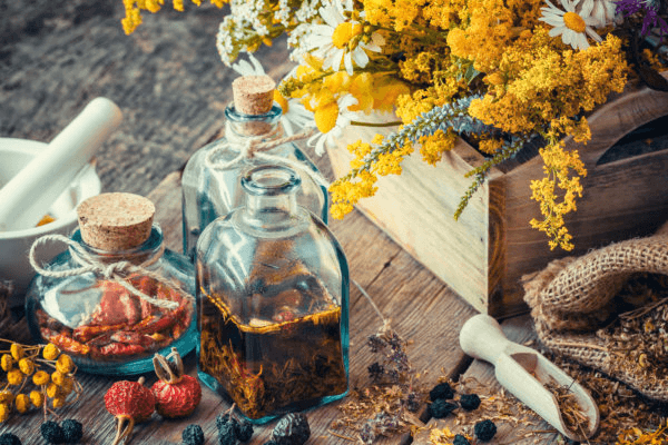 Holztisch mit Kräutern und Glasflaschen mit Pflanzenextrakten – Symbol für naturbelassene Pflanzenkraft