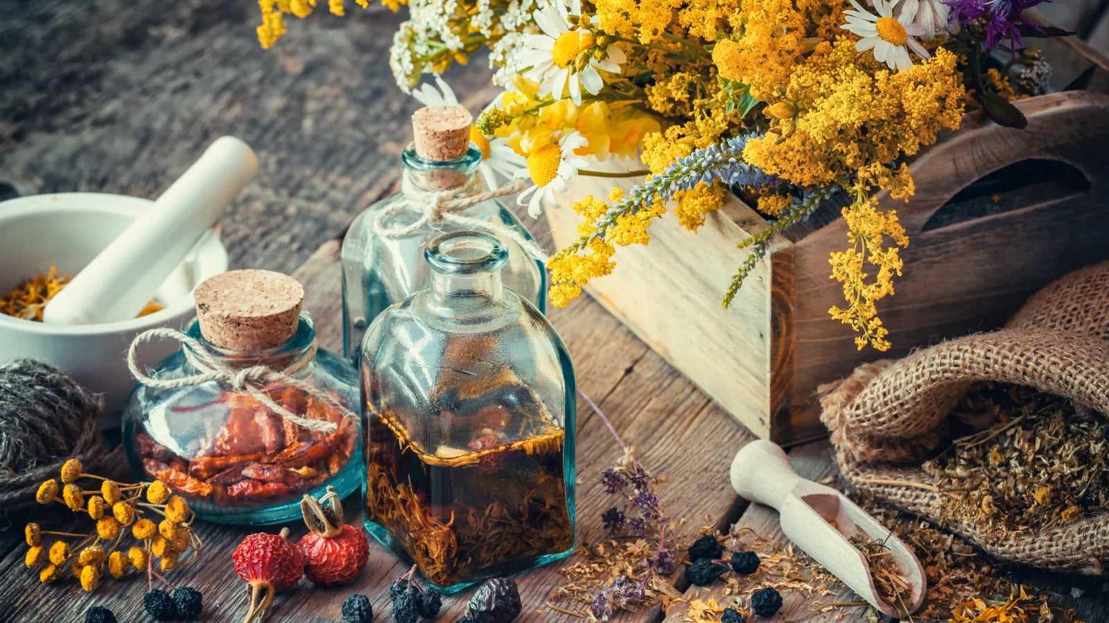 LebeFrischa reine Extrakte und Superfoods