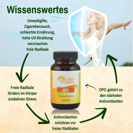 LebeFrischa OPC Traubenkernextrakt – natürliches Antioxidans aus Traubenkernen.