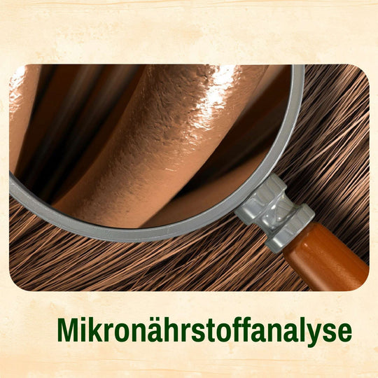 Medicross Mikronährstoffanalyse mittels Haaranalyse