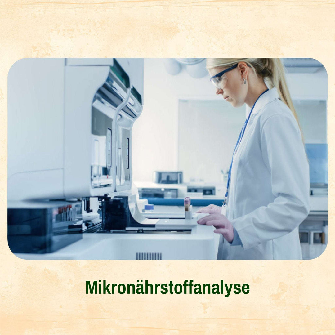 Medicross Mikronährstoffanalyse mittels Haaranalyse