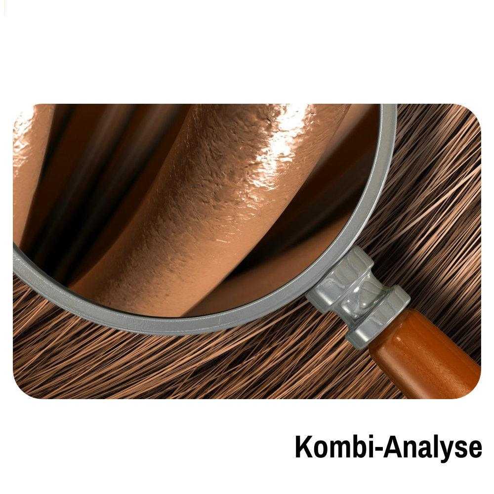 Haaranalyse Mikronährstoffanalyse Unverträglichkeitstest