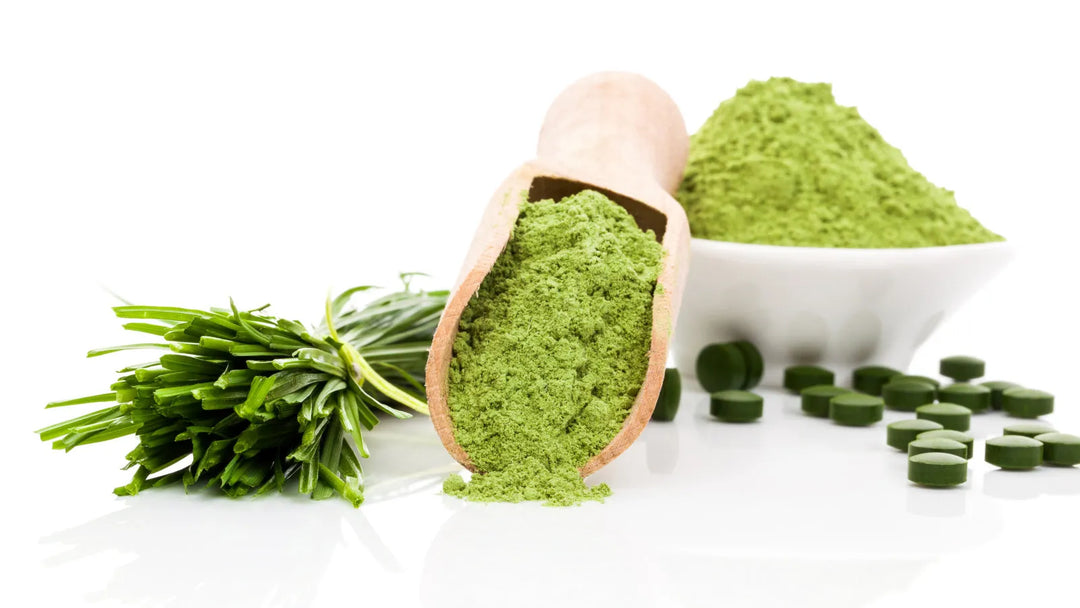 Algen – natürliche Quelle für Mikronährstoffe & Antioxidantien