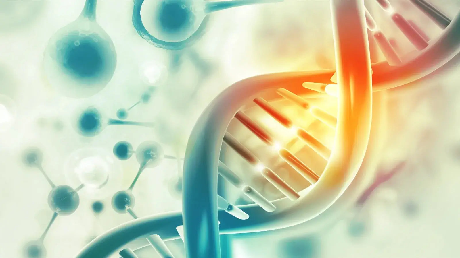 Abstrakter DNA-Strang auf hellem Hintergrund – Symbol für Zellstruktur & Aminosäuren