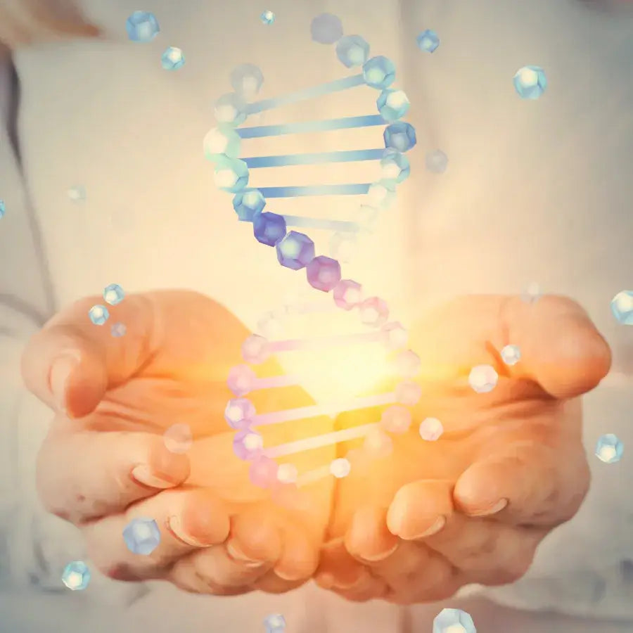 Frau zeigt ein DNA Strang in ihren offenen Händen