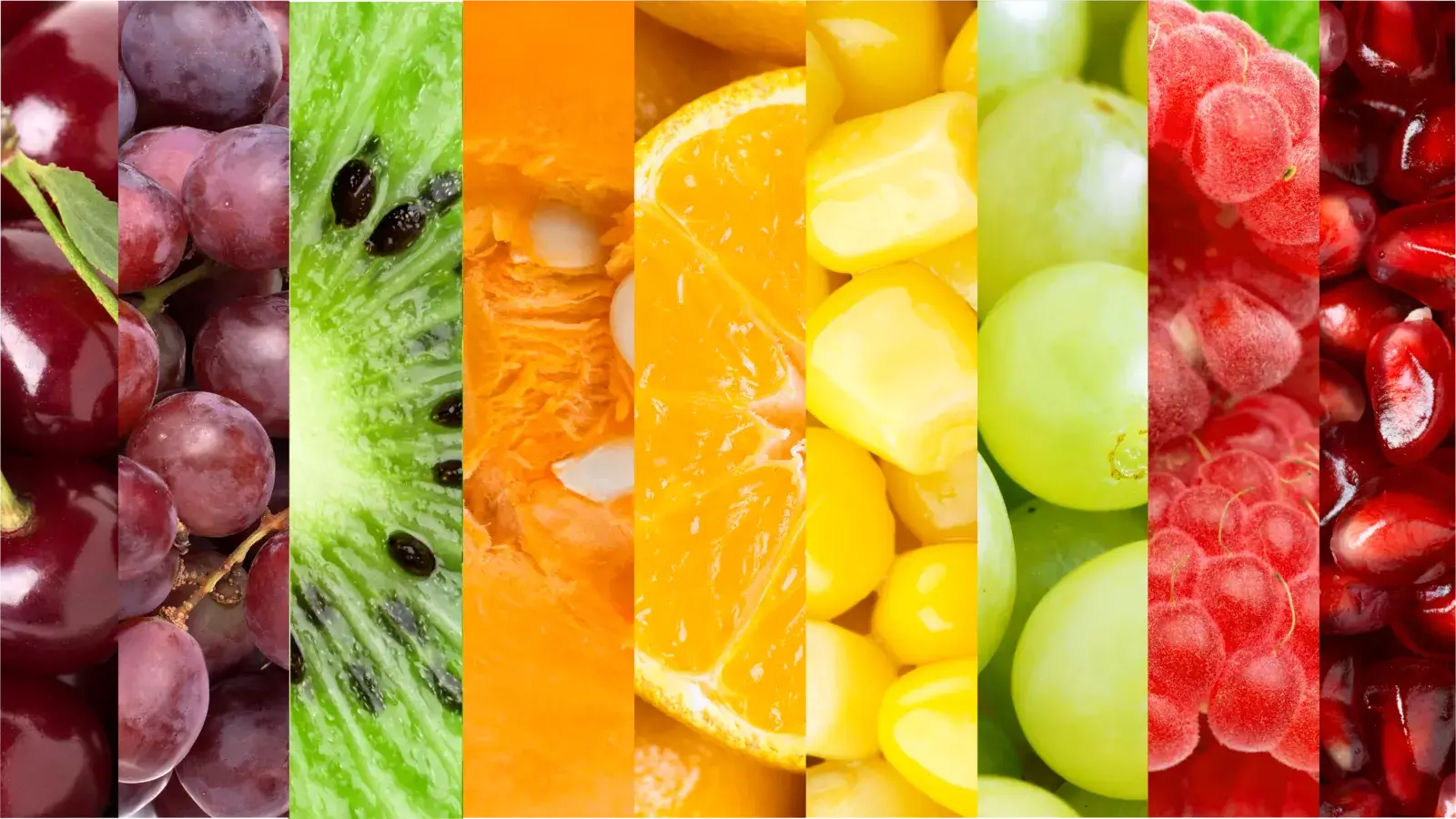 Verschiedenen Obstsorten in Abschnitte unterteilt – Symbol für natürliche Vielfalt als Vitaminquelle