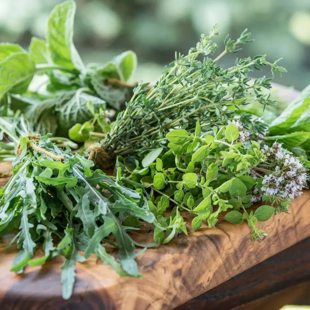 Verschiedene Kräuter auf einem Tisch.