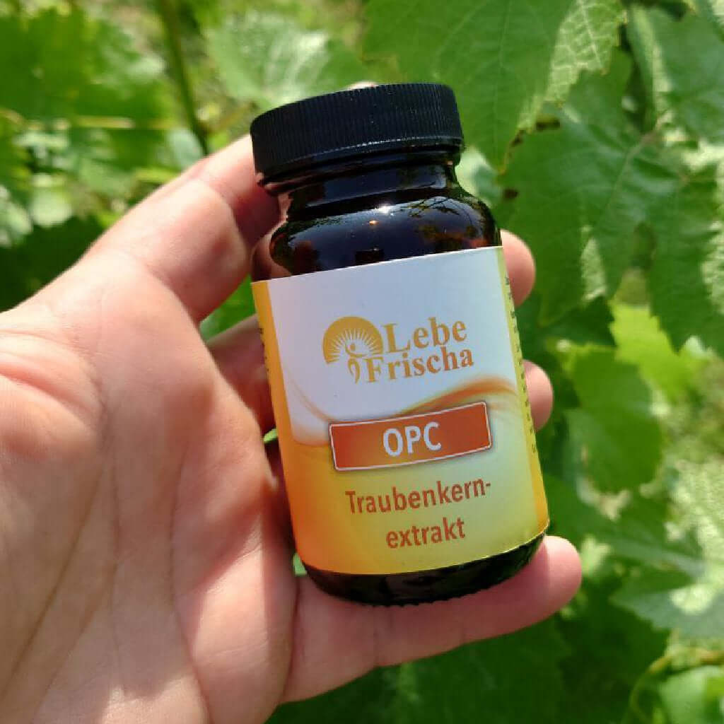 Hand hält eine OPC-Traubenkernflasche der Marke LebeFrischa vor grünen Weintraubenblättern.