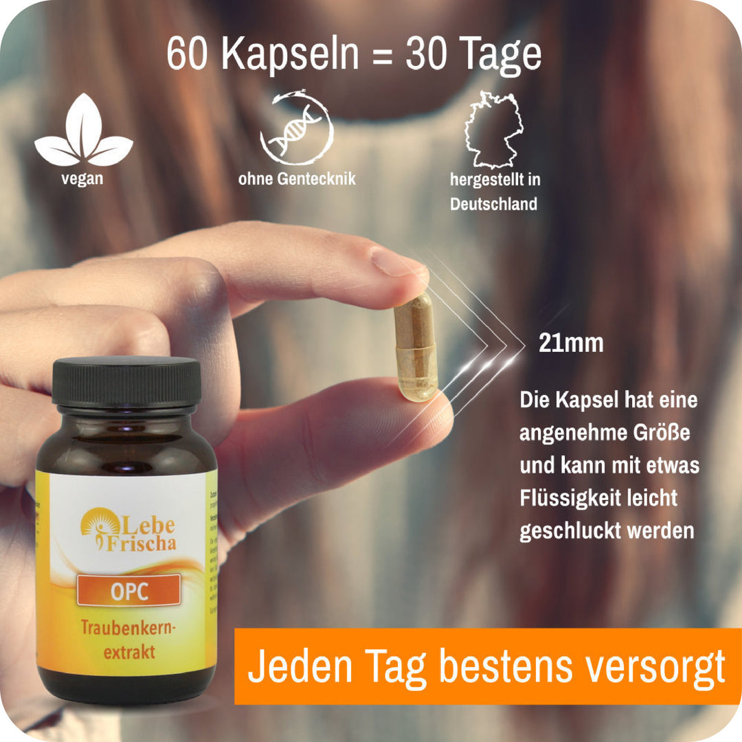 LebeFrischa OPC Traubenkernextrakt reines Extrakt ohne Zusätze 60 Kapseln