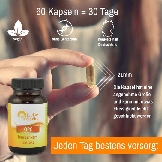 OPC Traubenkernextrakt 60 Kapseln für Zellschutz und Anti-Aging