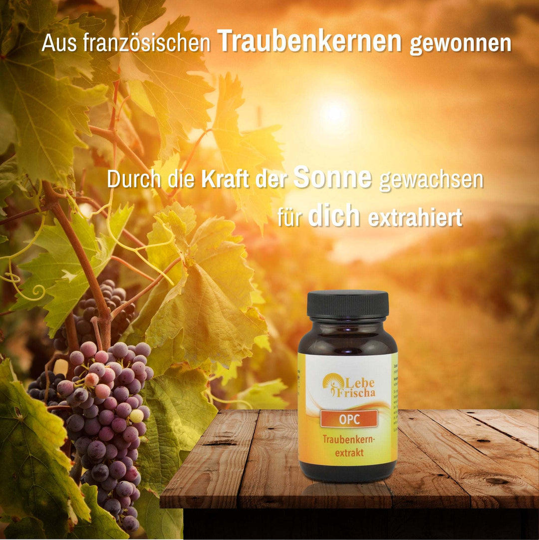 OPC Traubenkernextrakt 60 Kapseln für Zellschutz und Anti-Aging