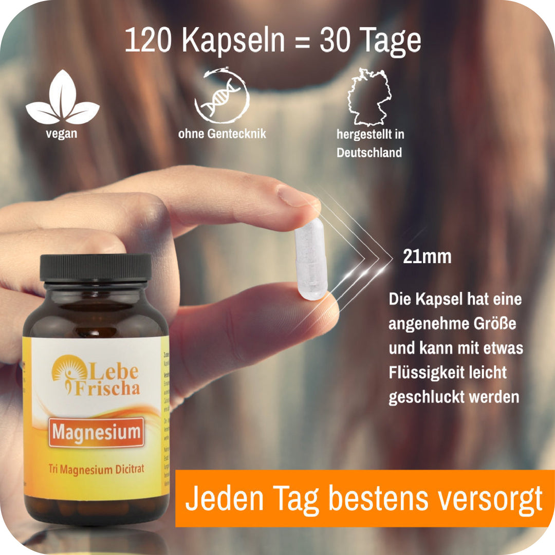 Foto einer Hand mit Kapsel und einer Produktflasche sowie sichtbarem Text zu Menge, Eigenschaften und Angaben zum Produkt Magnesium.
