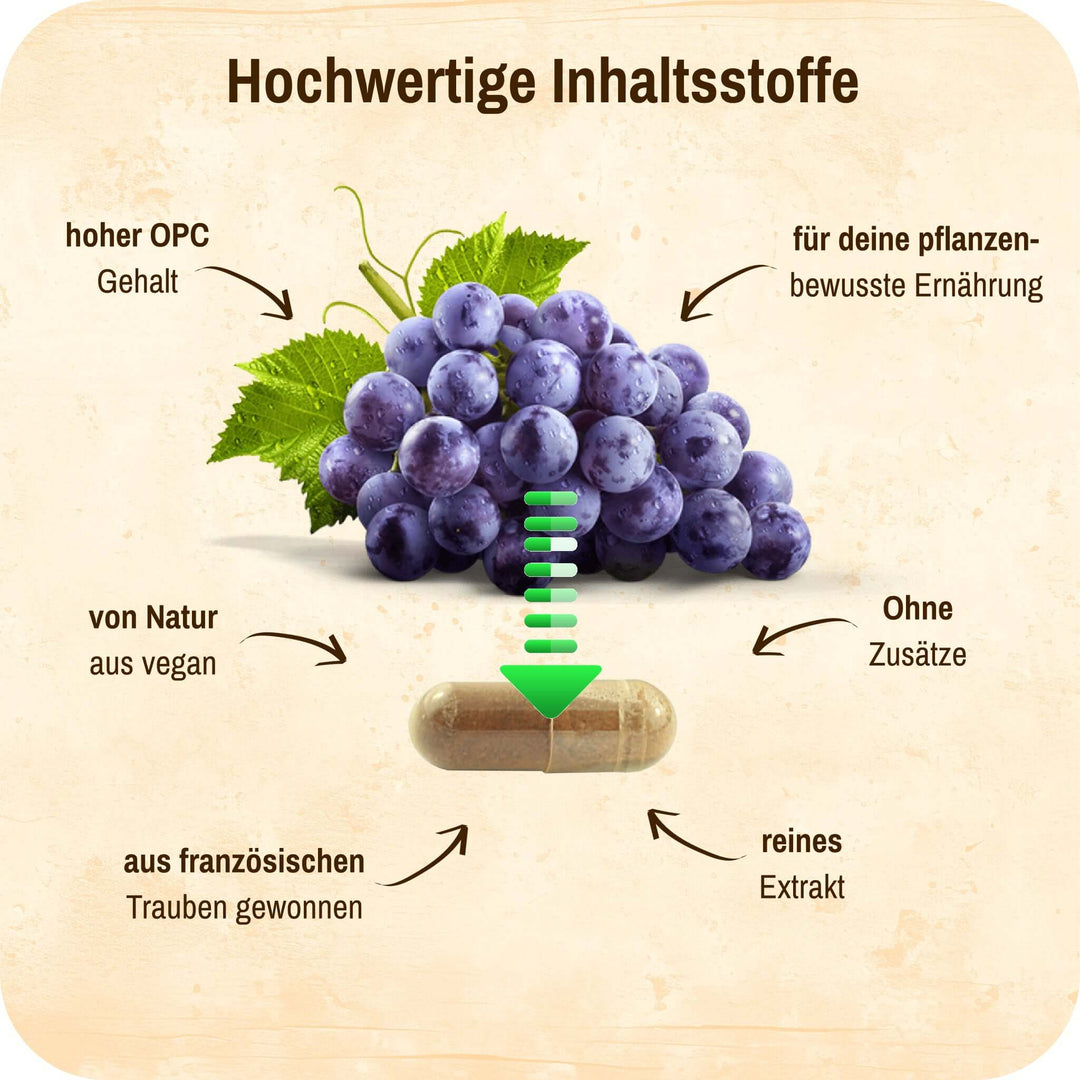 LebeFrischa OPC Traubenkernextrakt reines Extrakt ohne Zusätze 60 Kapseln