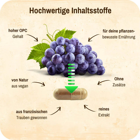 LebeFrischa OPC Traubenkernextrakt reines Extrakt ohne Zusätze 60 Kapseln