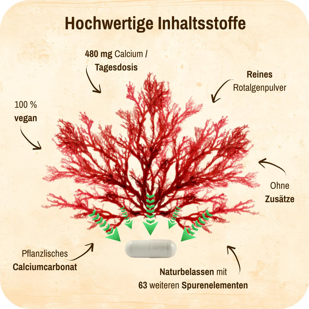 Grafik mit einer Rotalgenpflanze in der Mitte und Produktmerkmalen drum herum.