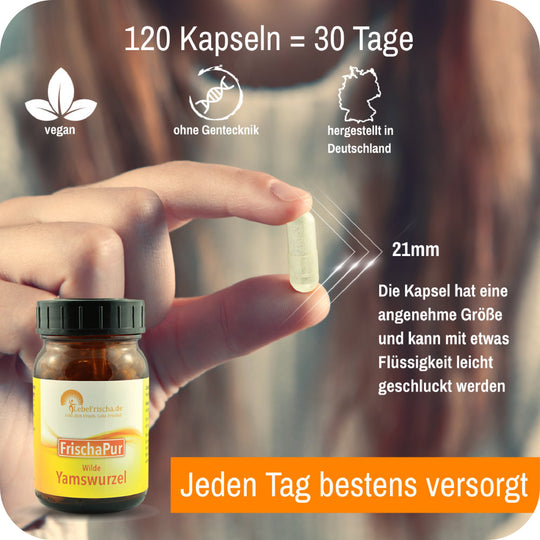 Foto einer Hand mit Kapsel und einer Produktflasche sowie sichtbarem Text zu Menge, Eigenschaften und Angaben zum Produkt Wilde Yamswurzel.