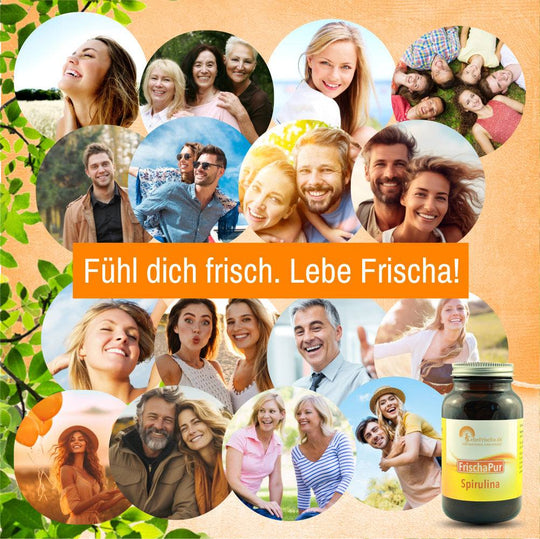 Spirulina Algen