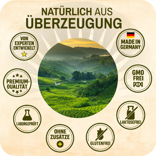Grafik mit Landschaft und mehreren Qualitätssymbolen mit Text